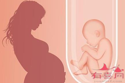 如果在孕期检查中发现胎儿有唇腭裂，以后可以做美国第三代赠卵做借卵试管公司吗？