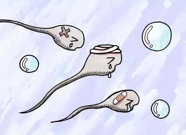 三代做供卵试管只养了2个囊胚
