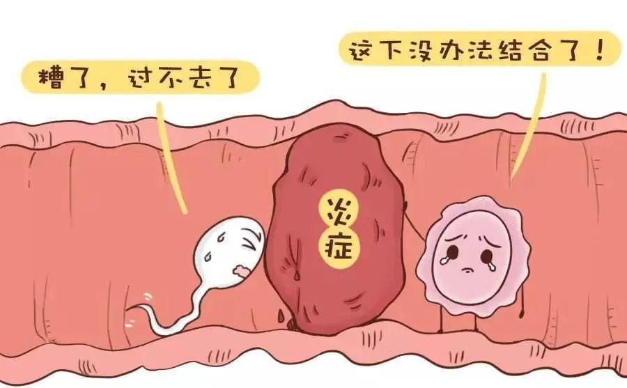 广东佛山盛京医院第三代试管婴儿