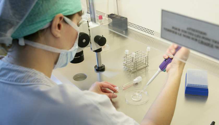 试管冷冻胚胎一管冻几个